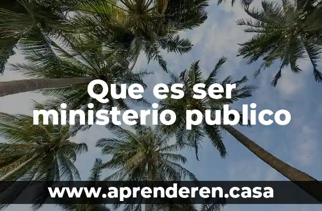 Que es ser ministerio publico