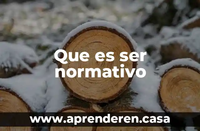 Que es ser normativo