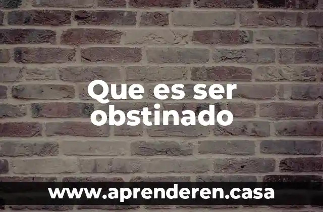 Que es ser obstinado