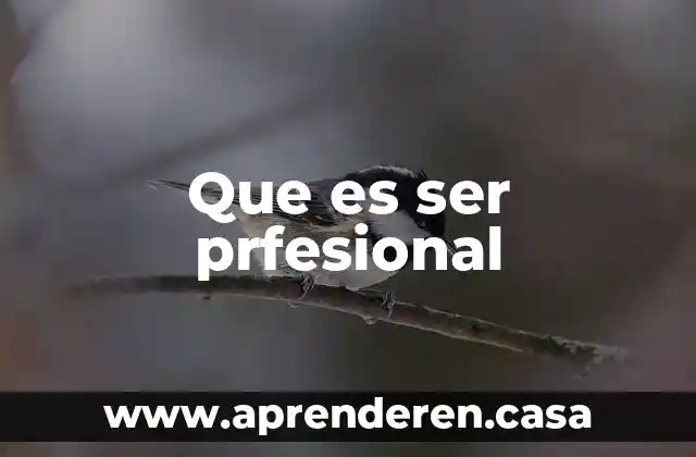 Que es ser prfesional