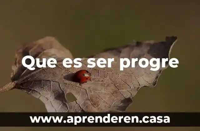 Que es ser progre