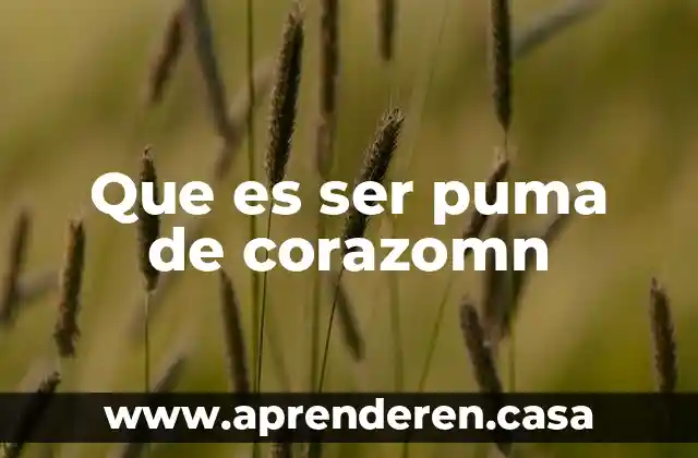 Que es ser puma de corazomn