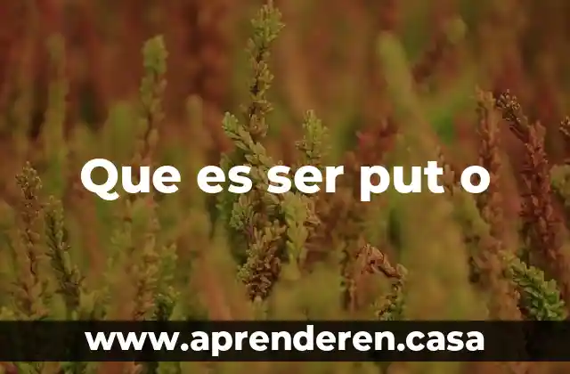 Que es ser put o