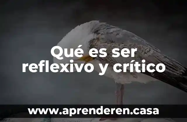 Qué es ser reflexivo y crítico