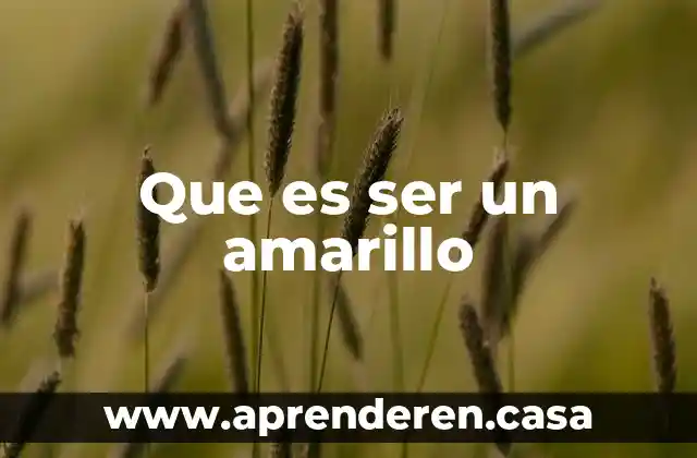 Que es ser un amarillo