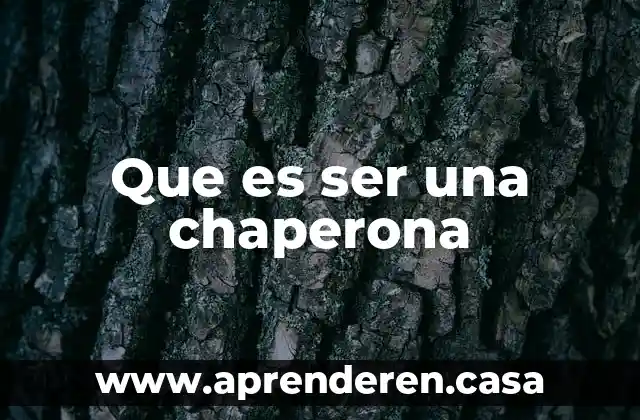 Papi que es el ser humano 4 Que es ser una chaperona