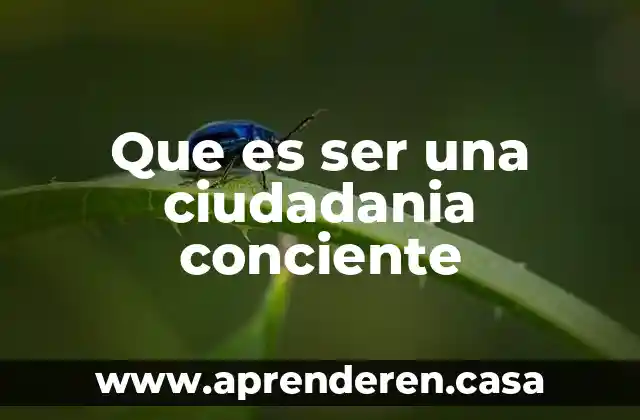 Que es la ciudadania digital en informatica 8 Que es ser una ciudadania conciente