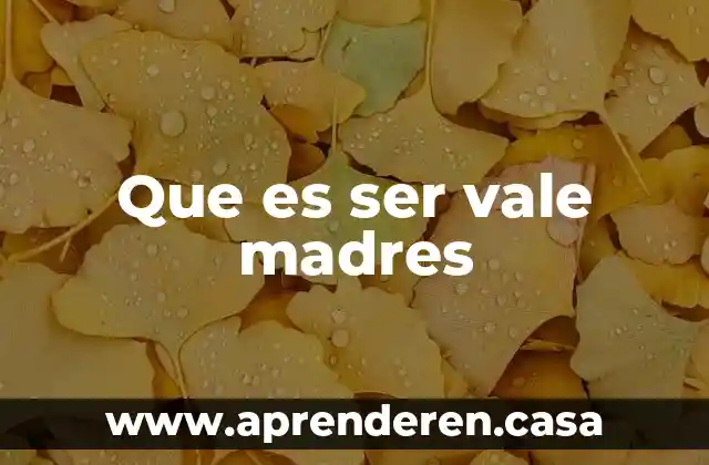 Que es ser vale madres