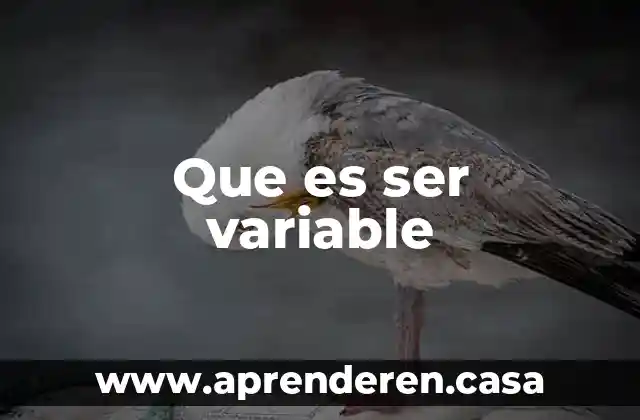 Que es ser variable
