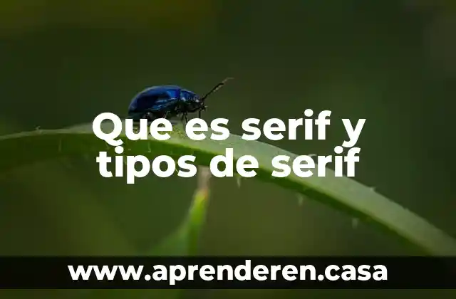 Que es serif y tipos de serif