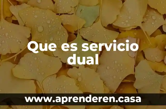 Que es servicio dual