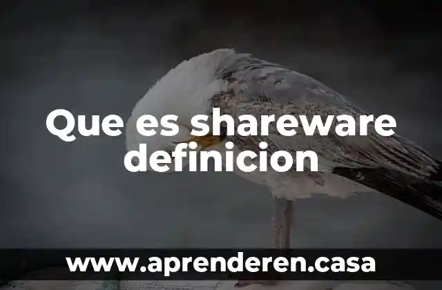 Que es shareware definicion