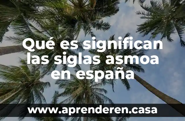 Que es pda siglas en ingles 6 Qué es significan las siglas asmoa en españa