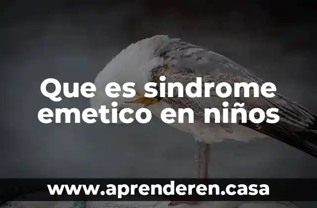 Que es la teoria del big bag para los niños 3 Que es sindrome emetico en niños