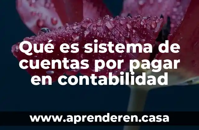 Qué es sistema de cuentas por pagar en contabilidad