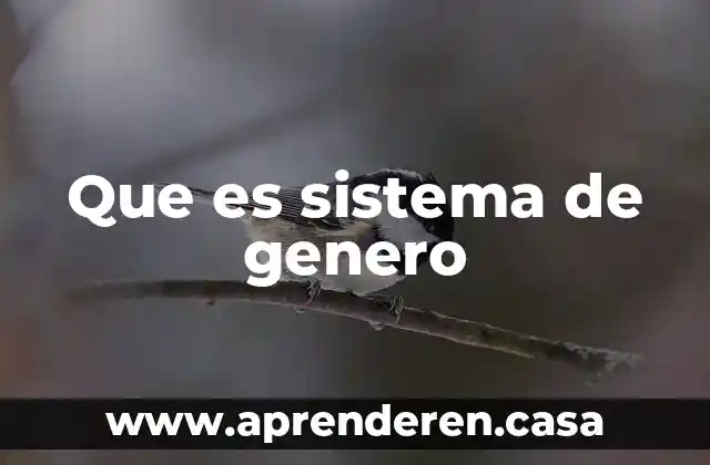 Que es sistema de genero