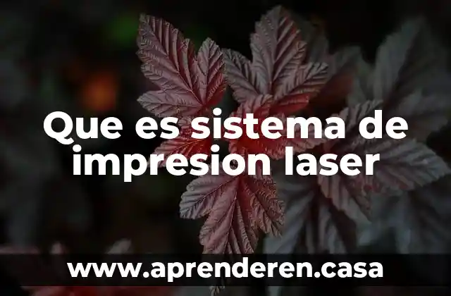 Que es sistema de impresion laser