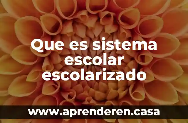 Que es sistema escolar escolarizado