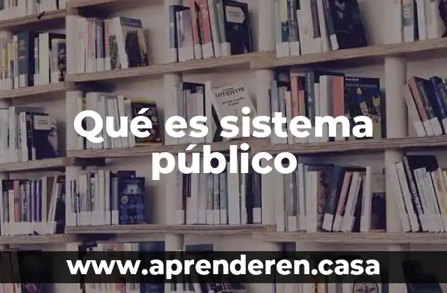 Qué es sistema público