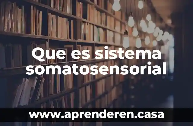 Que es sistema somatosensorial