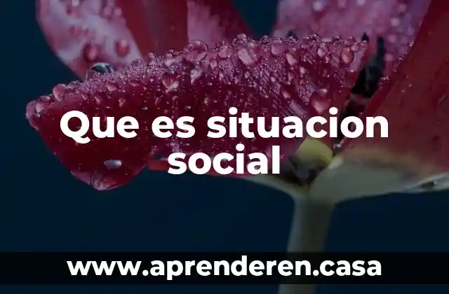 Que es situacion social