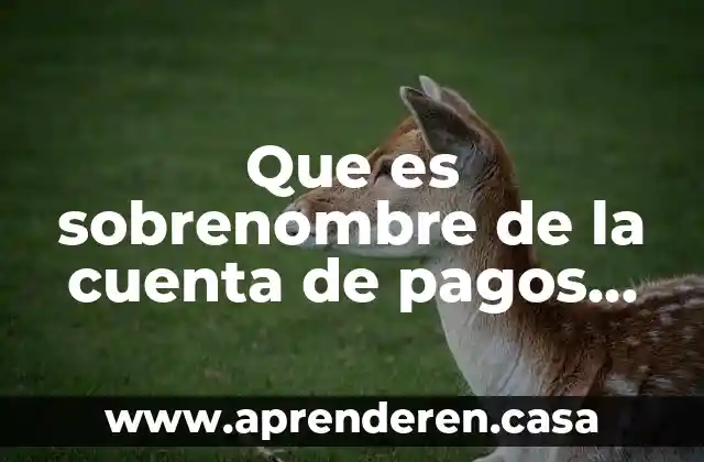 Que es sobrenombre de la cuenta de pagos de adcense