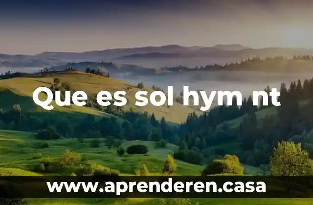 Que es sol hym nt