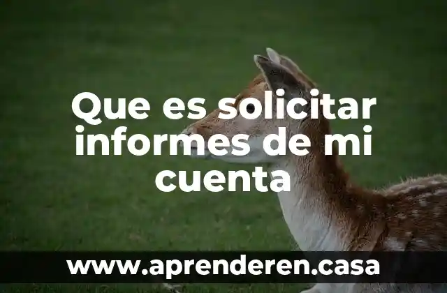 Que es solicitar informes de mi cuenta