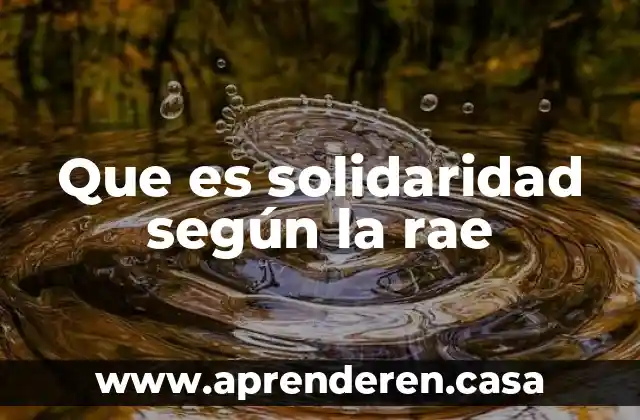 Que es solidaridad según la rae