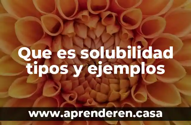 Que es solubilidad tipos y ejemplos
