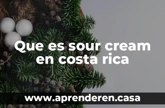 Que es bollon en la costa 3 Que es sour cream en costa rica
