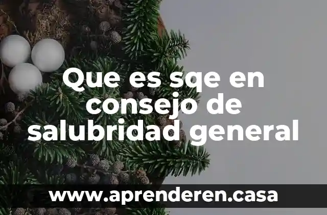 Qué es caja en un balance general 3 Que es sqe en consejo de salubridad general