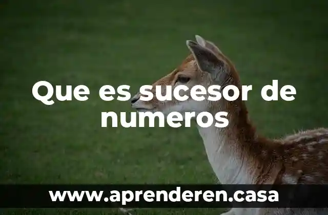 Qué es asignación de números de oxidación 5 Que es sucesor de numeros