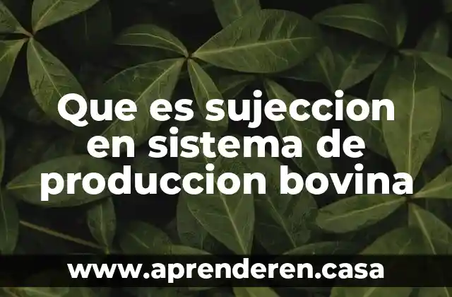 Que es sujeccion en sistema de produccion bovina