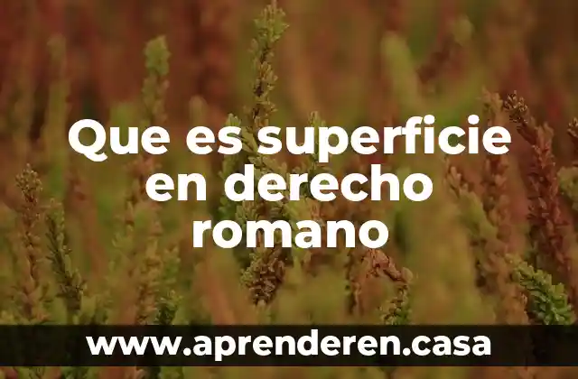 Que es modo en derecho romano 3 Que es superficie en derecho romano