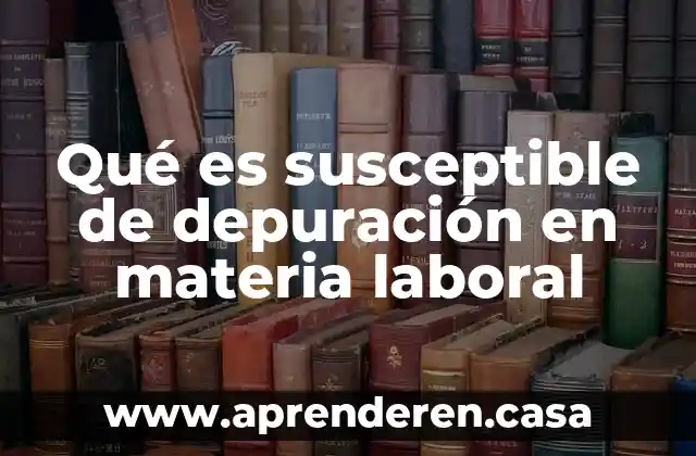 Qué es susceptible de depuración en materia laboral