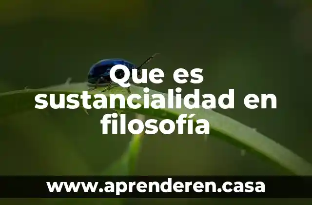 Que es apologistas en filosofia 3 Que es sustancialidad en filosofía