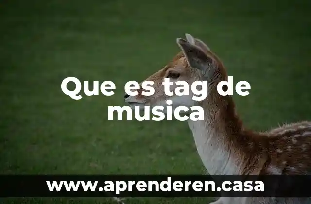 Que es tag de musica