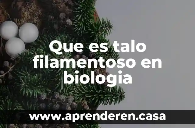 Que es talo filamentoso en biologia