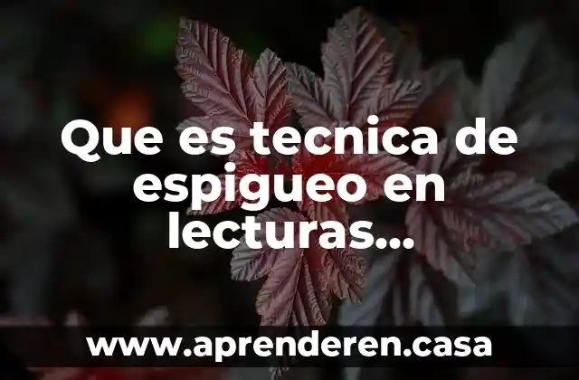 Que es tecnica de espigueo en lecturas comprensivas