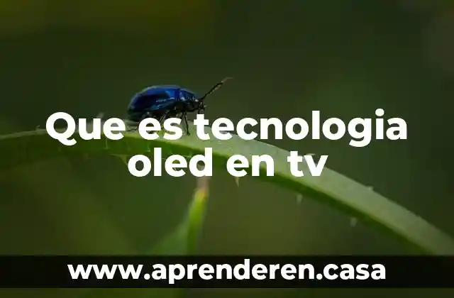 Que es tecnologia oled en tv