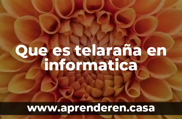 Que es telaraña en informatica