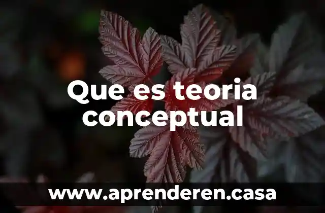 Que es teoria conceptual