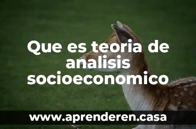 Que es teoria de analisis socioeconomico