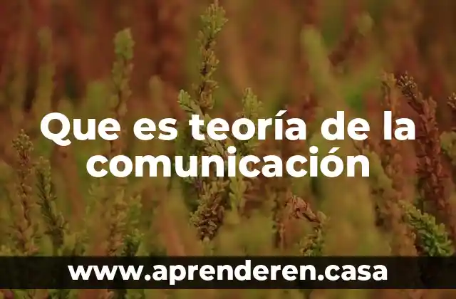 Que es teoría de la comunicación