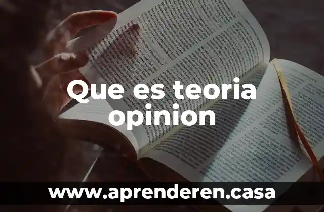 Que es teoria opinion