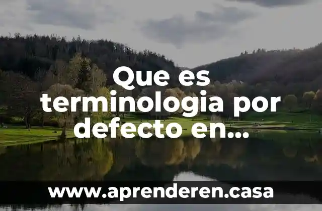 Qué es la terminología y conceptos básicos 4 Que es terminologia por defecto en informatica