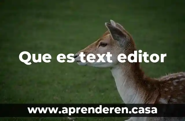 Que es text editor