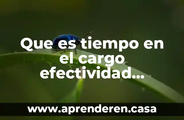 Que es tiempo en el cargo efectividad gerencial