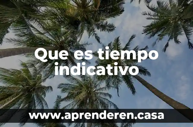 Que es tiempo indicativo